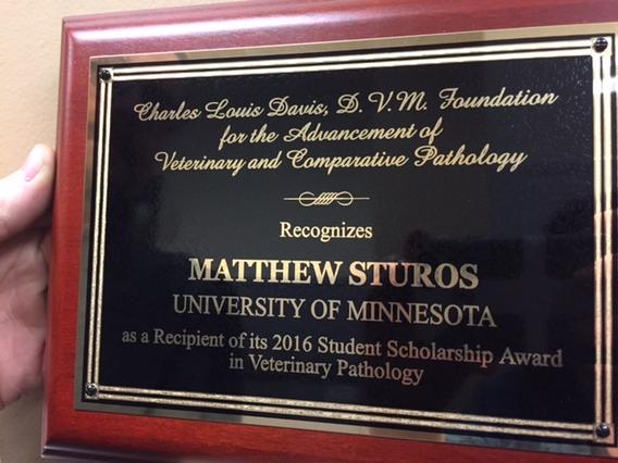 Matt Sturos scholarship award plaque close-up